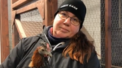 Kuvakaappaus Susannan videosta